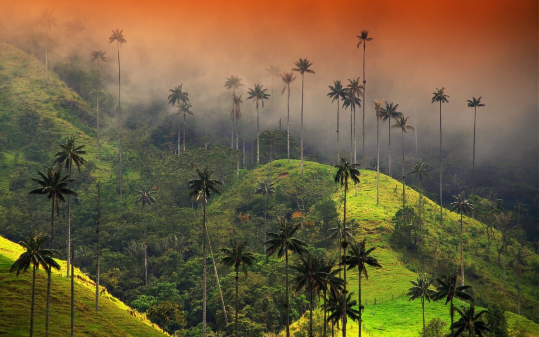 CALI Y PAISAJE CULTURA CAFETERO (COLOMBIA)- PURO INCENTIVO